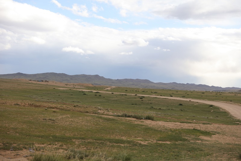 233A3337.JPG