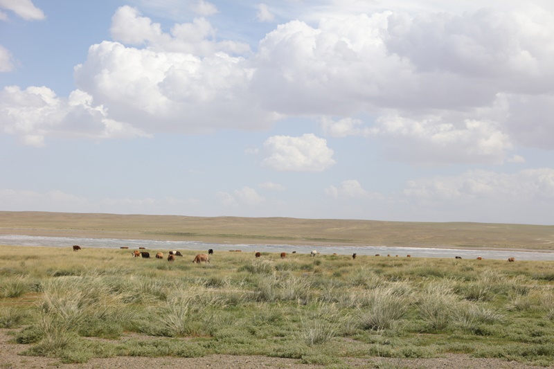 233A3249.JPG