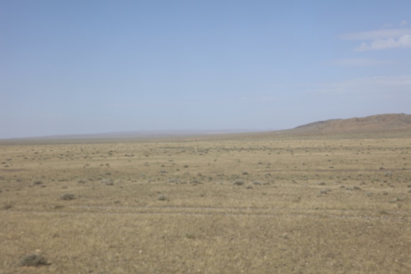 233A3160.JPG