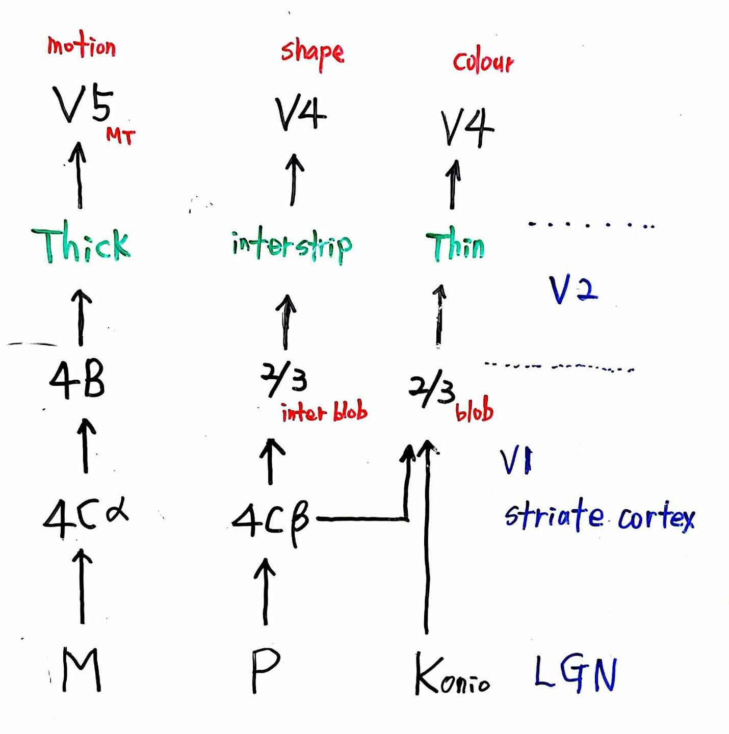 1473687465594.jpeg