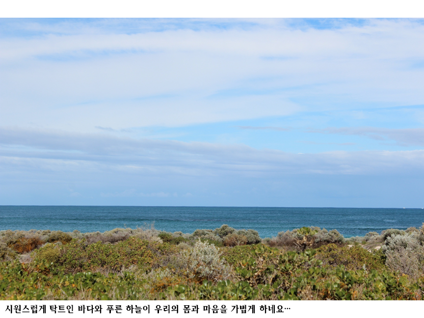 슬라이드55.PNG