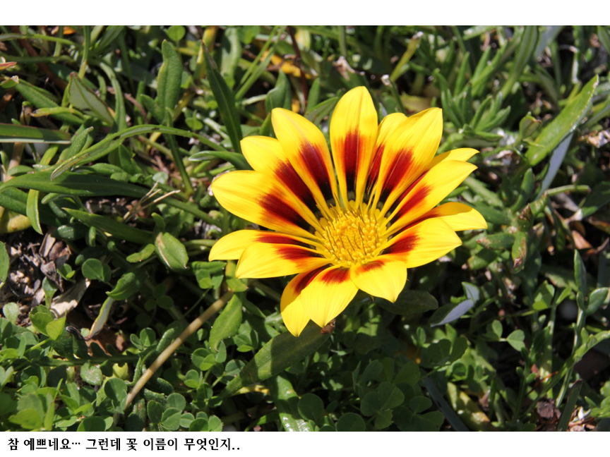 슬라이드111.PNG