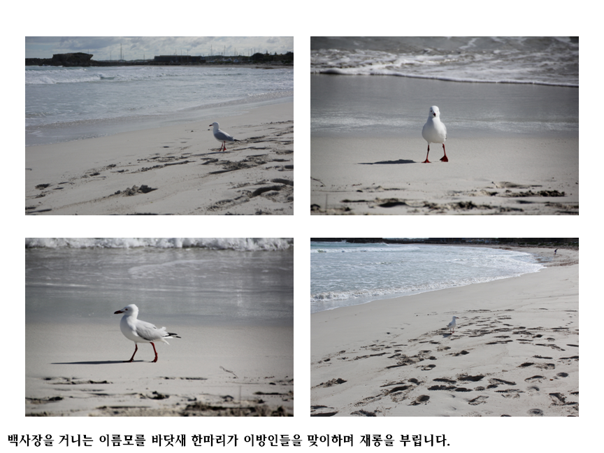 슬라이드66.PNG