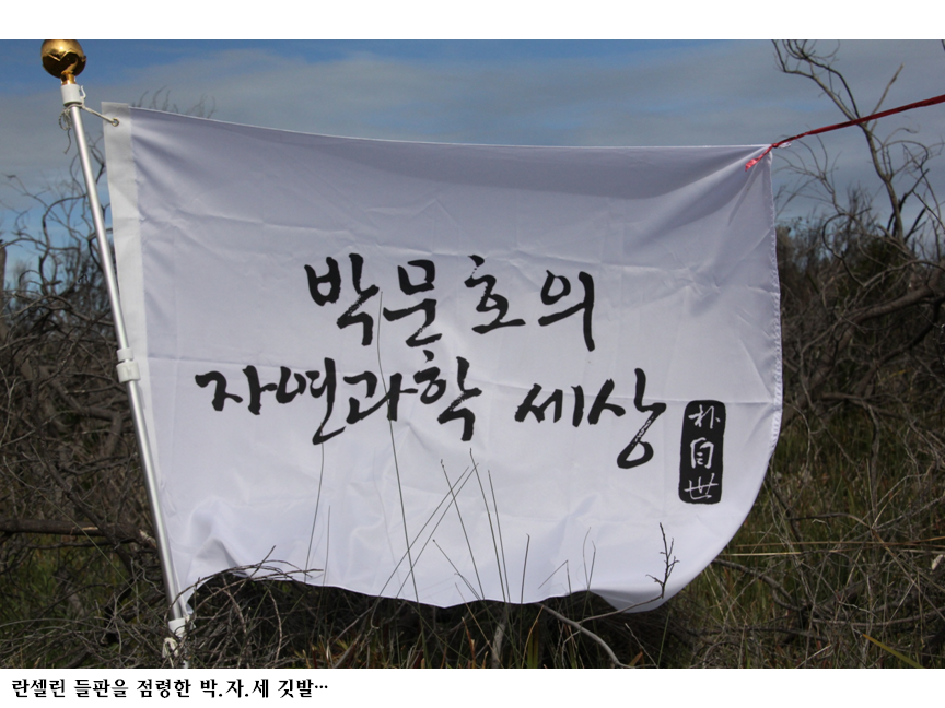 슬라이드97.PNG