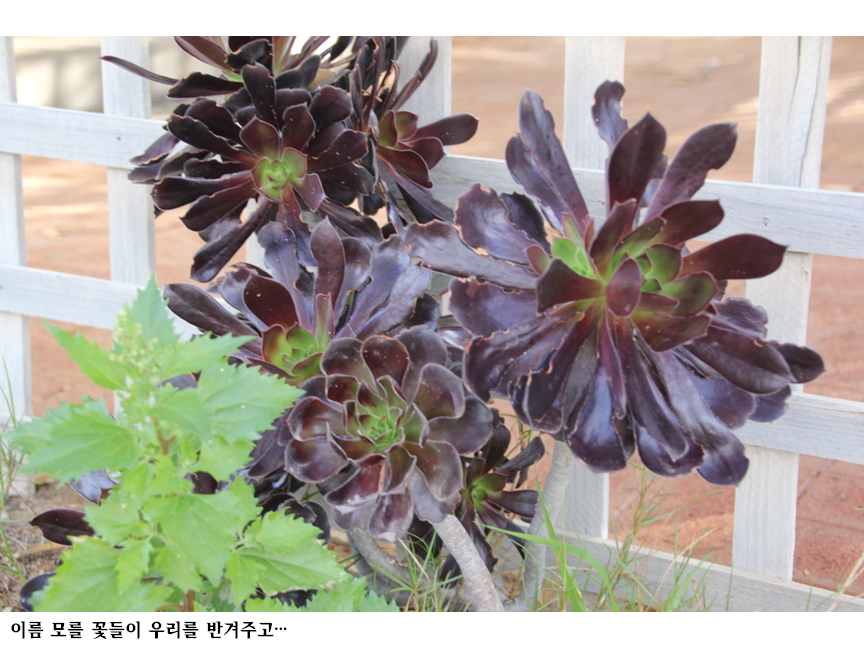 슬라이드125.PNG