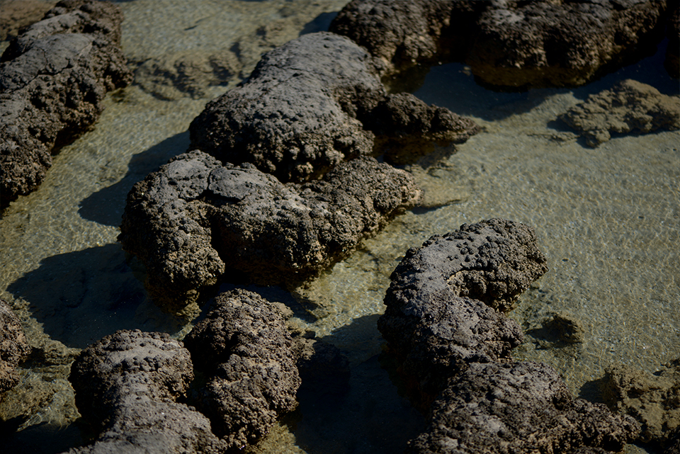 SAL_2487a.JPG