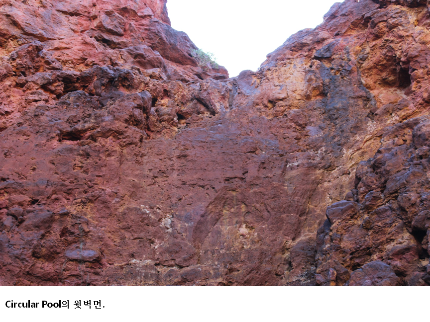 슬라이드49.PNG