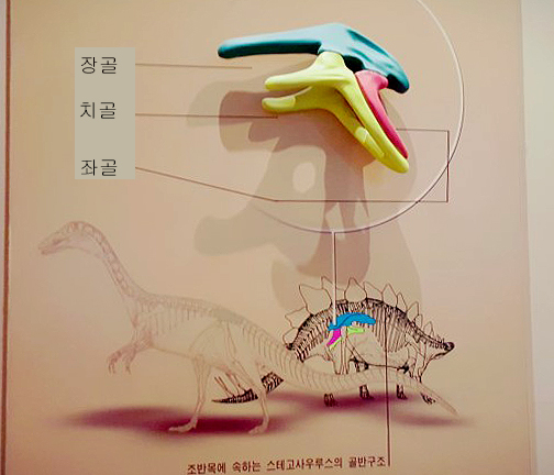 조.jpg