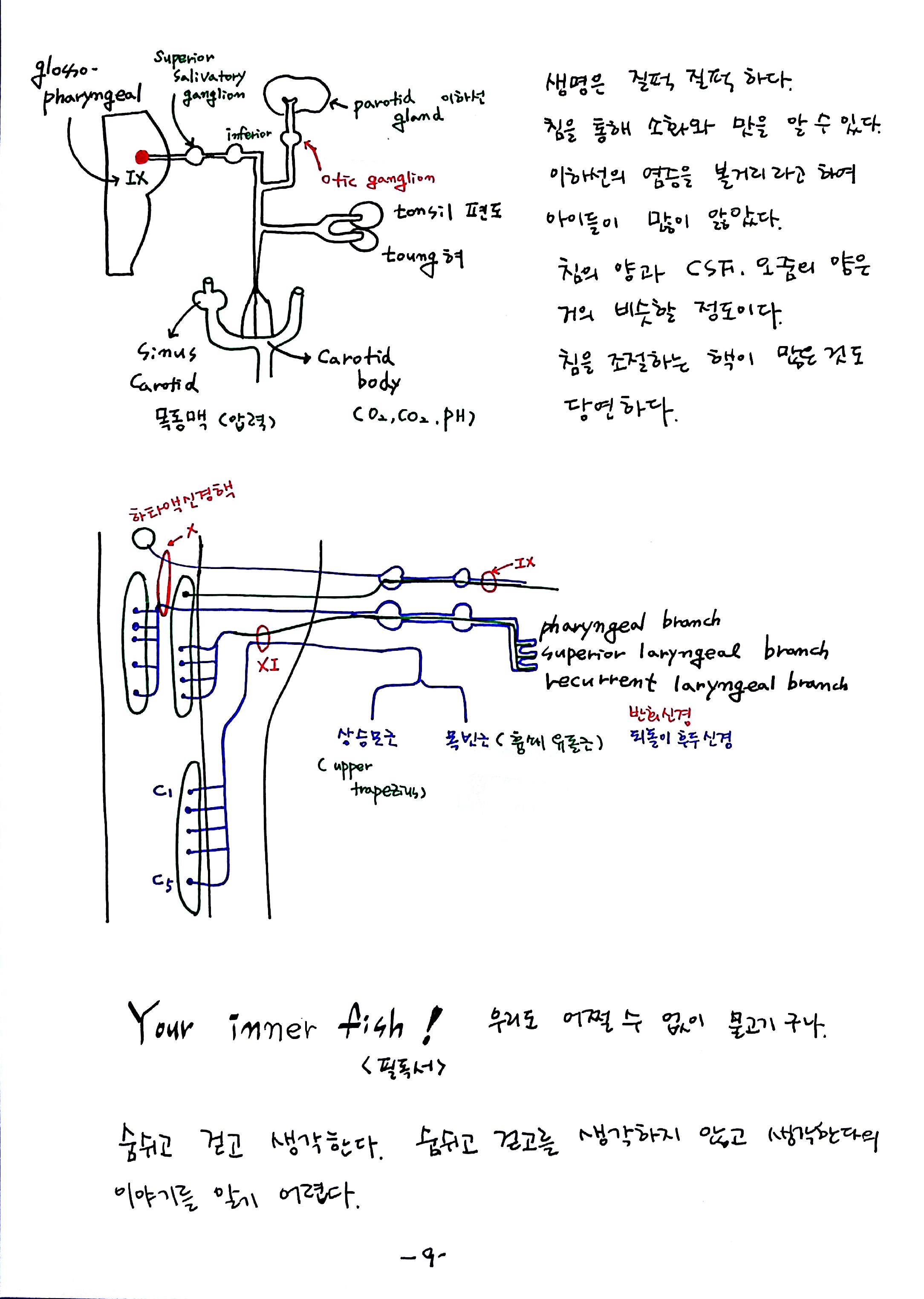 제6회 특별한 뇌과학 3강 숨쉬고걷고생각한다 (9).jpg