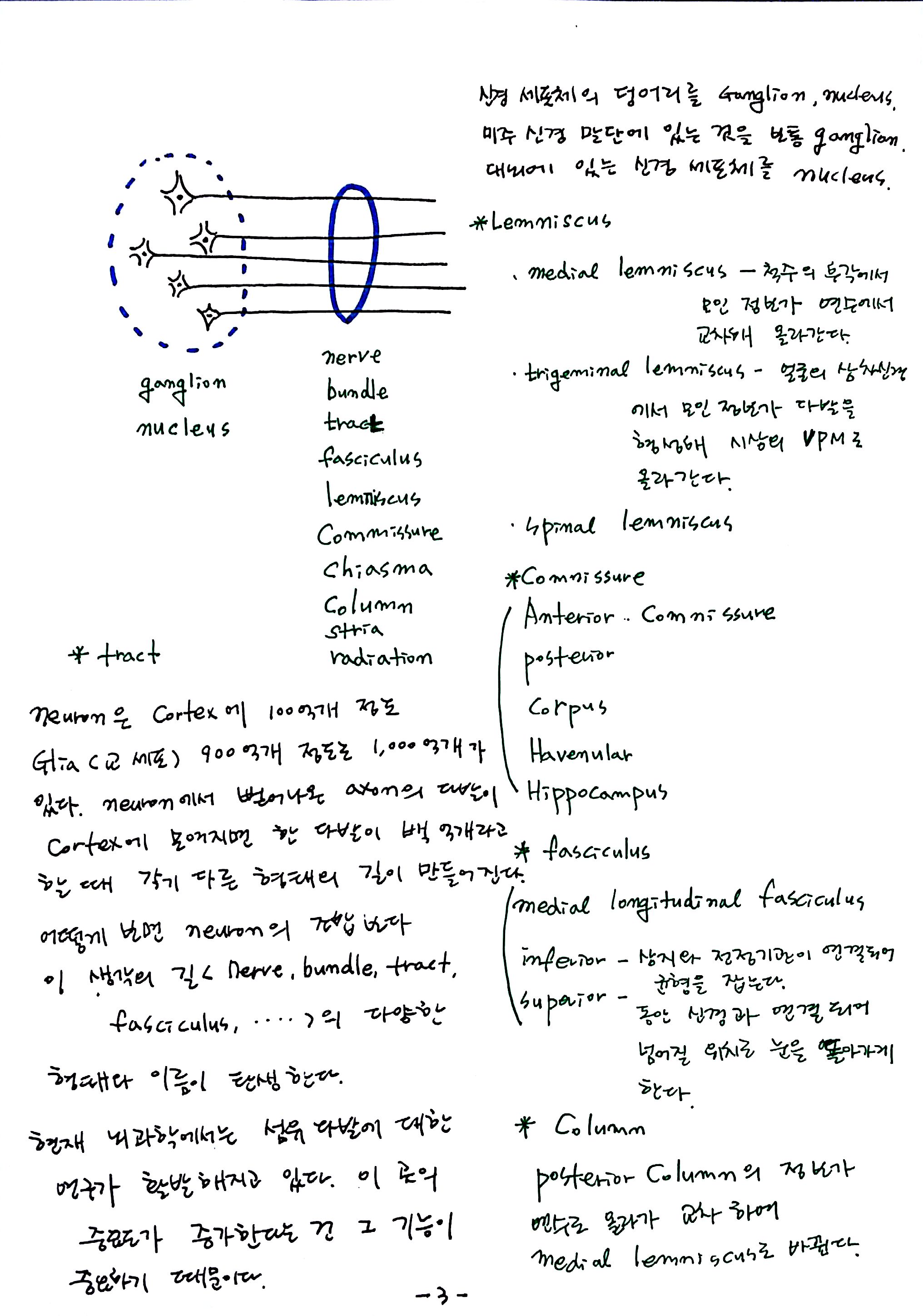 제6회 특별한 뇌과학 3강 숨쉬고걷고생각한다 (3).jpg