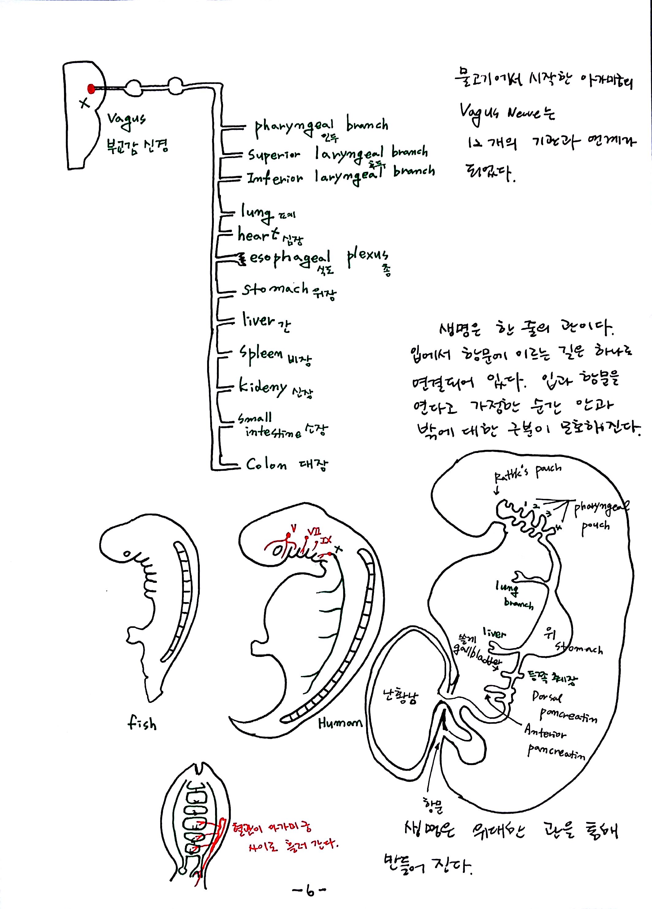 제6회 특별한 뇌과학 3강 숨쉬고걷고생각한다 (6).jpg