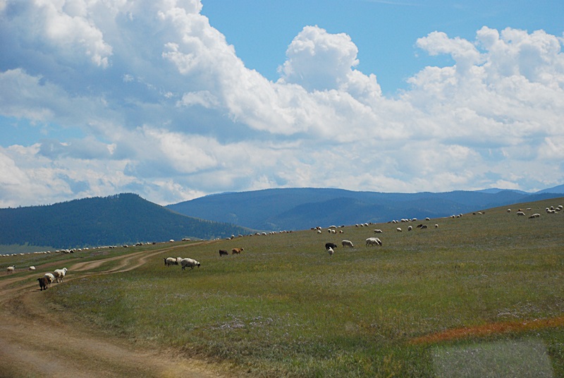 DSC_0376.JPG