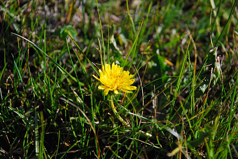 DSC_0475.JPG