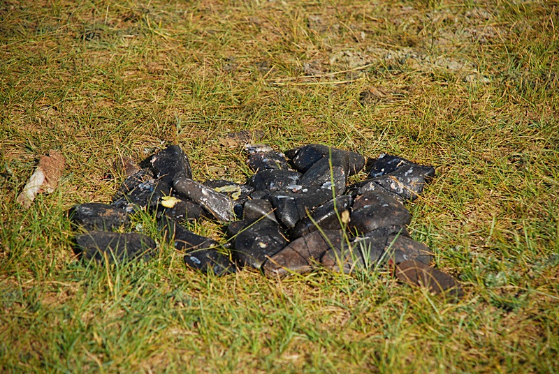 DSC_0355.JPG