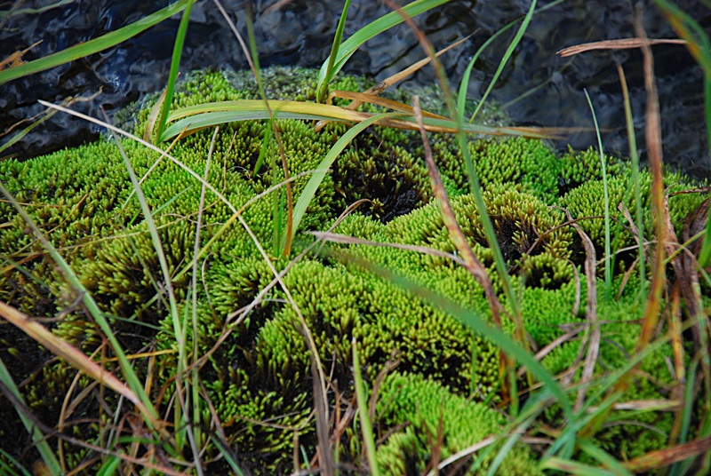 DSC_0541.JPG