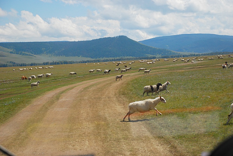 DSC_0391.JPG