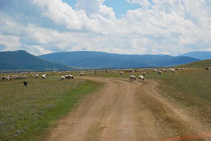 DSC_0386.JPG