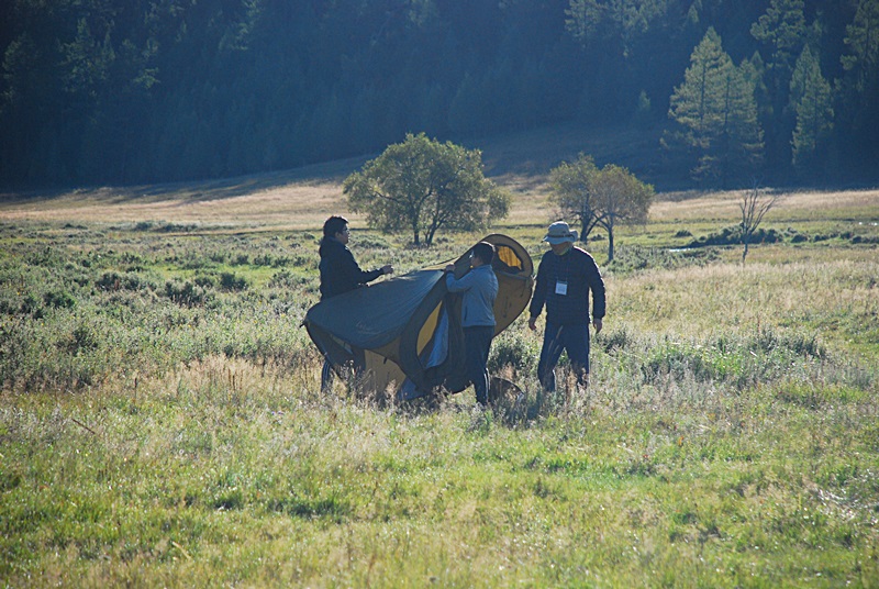 DSC_0610.JPG