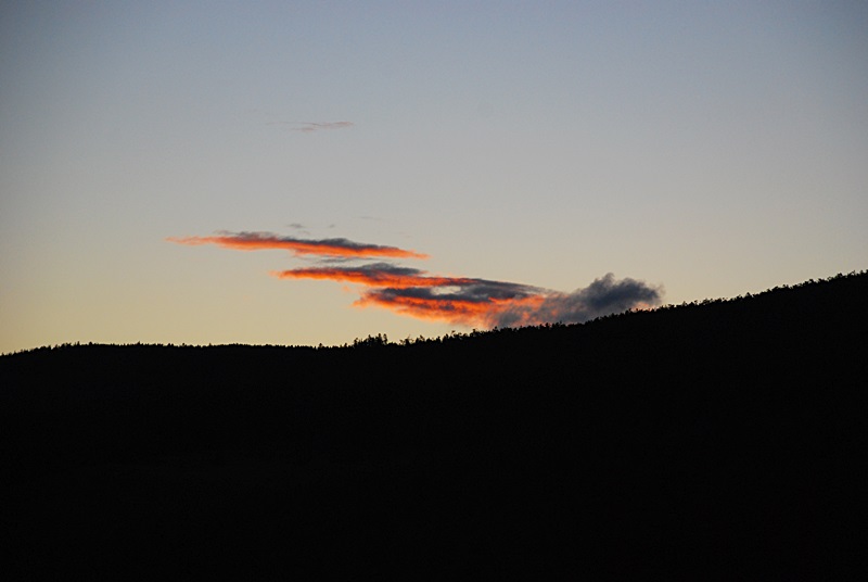 DSC_0584.JPG