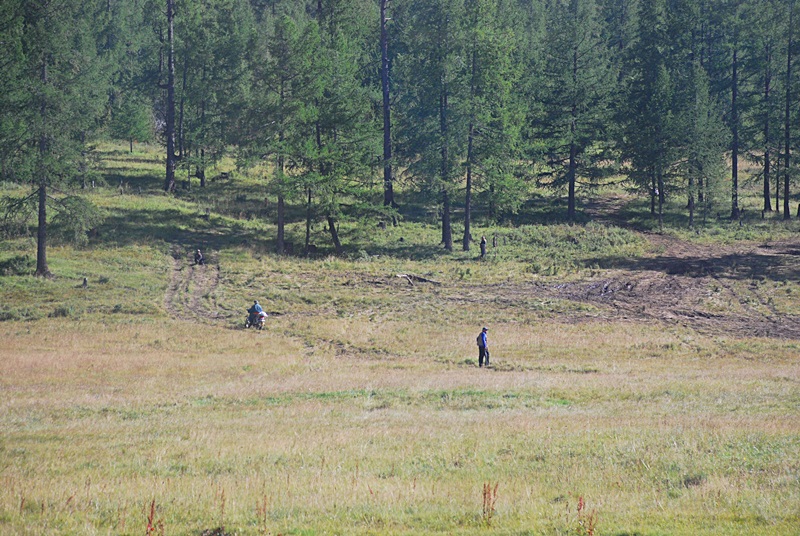 DSC_0425.JPG