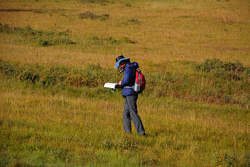 DSC_0637.JPG