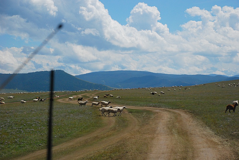 DSC_0374.JPG