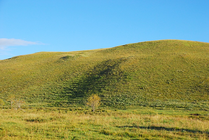DSC_0595.JPG