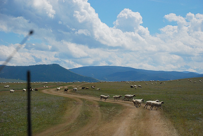 DSC_0375.JPG