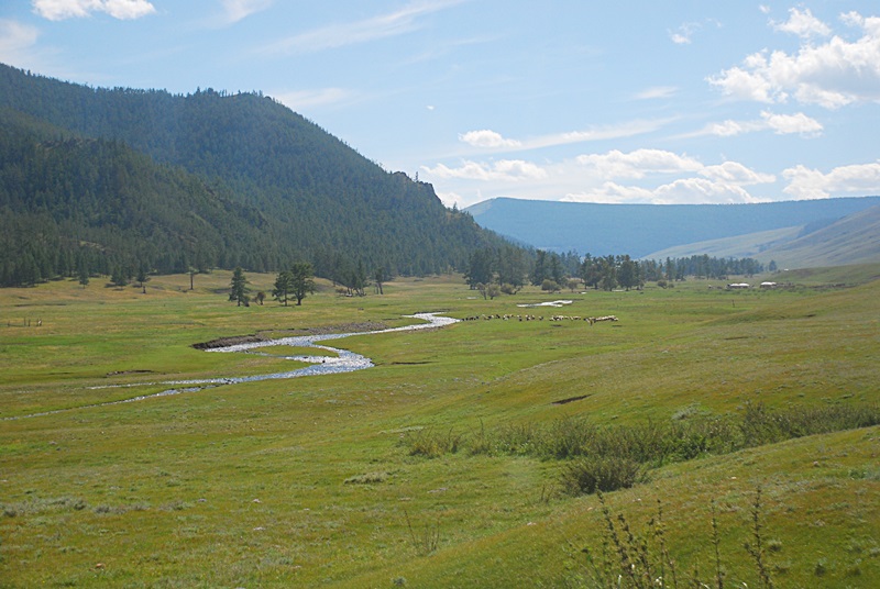 DSC_0417.JPG