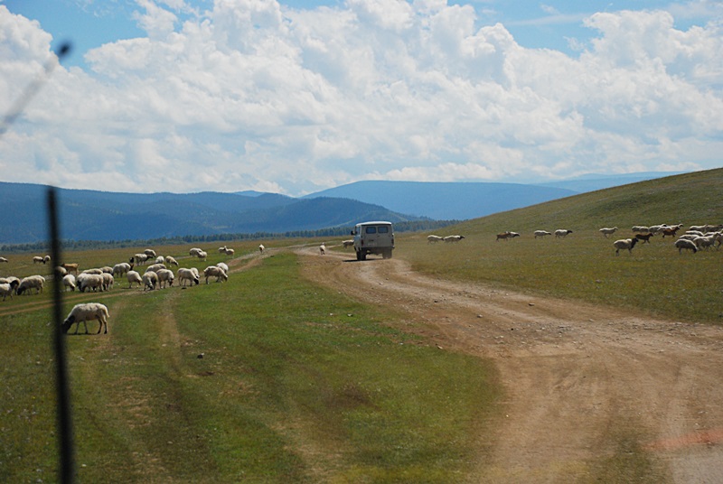 DSC_0396.JPG