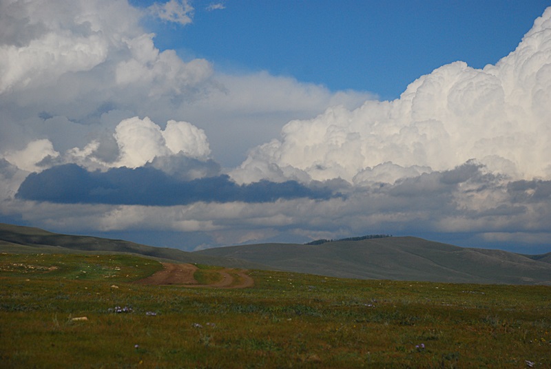 DSC_0420.JPG