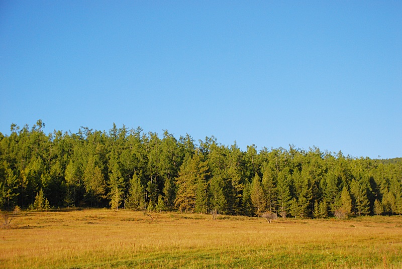 DSC_0598.JPG