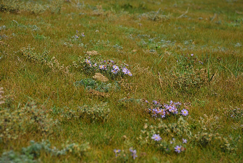 DSC_0411.JPG