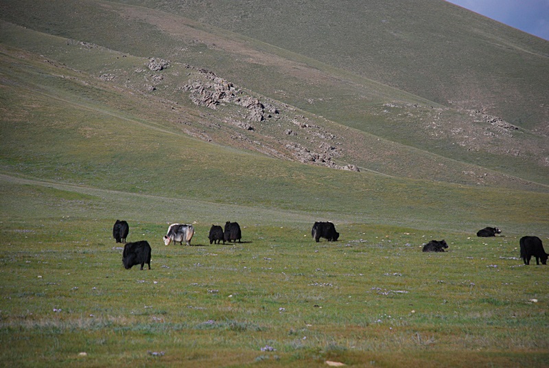 DSC_0423.JPG