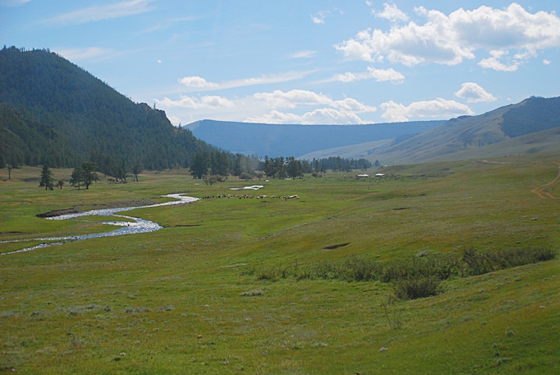 DSC_0416.JPG