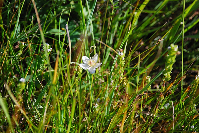DSC_0469.JPG