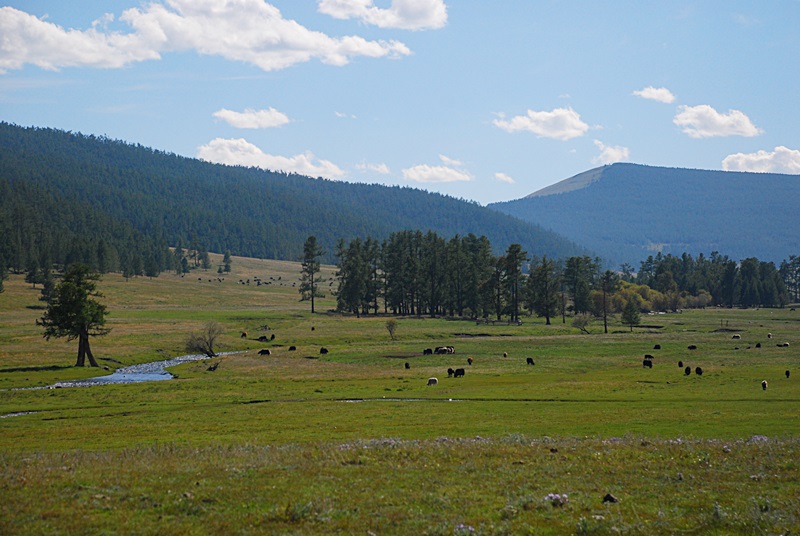 DSC_0419.JPG