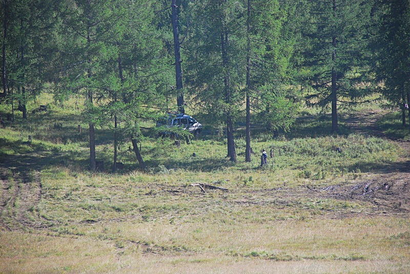 DSC_0431.JPG