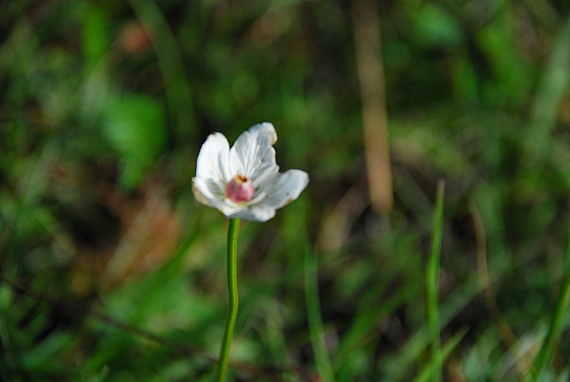 DSC_0464.JPG