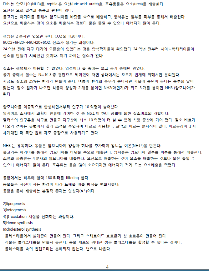 ScreenClip 04.png