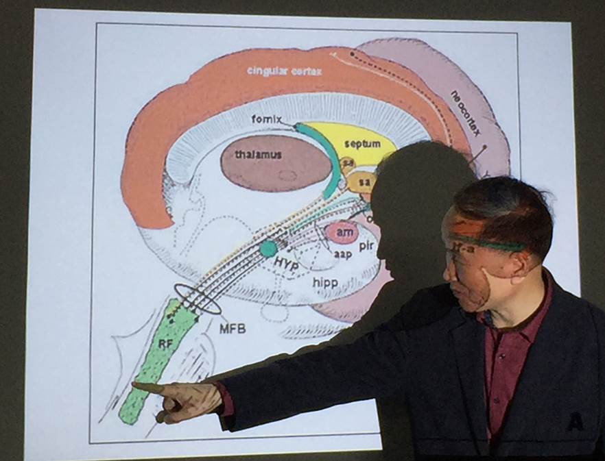 fig22.jpg