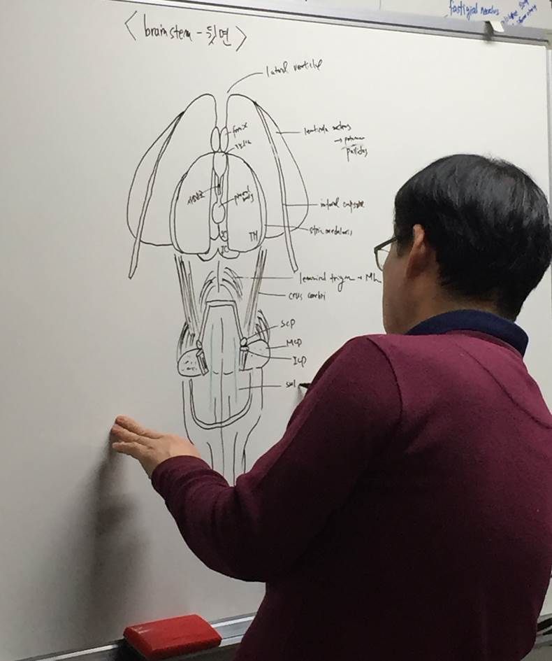 fig8.jpg
