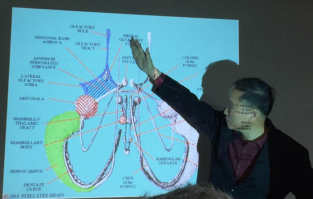 fig32.jpg