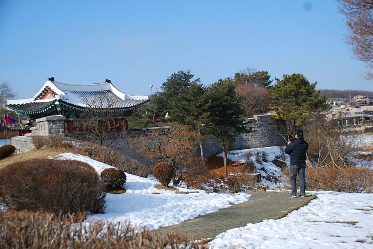 DSC_0905.jpg
