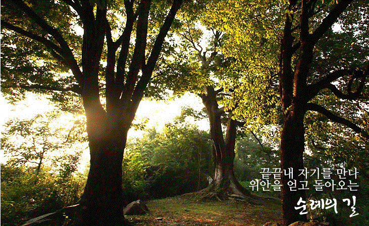 캡처.GIF