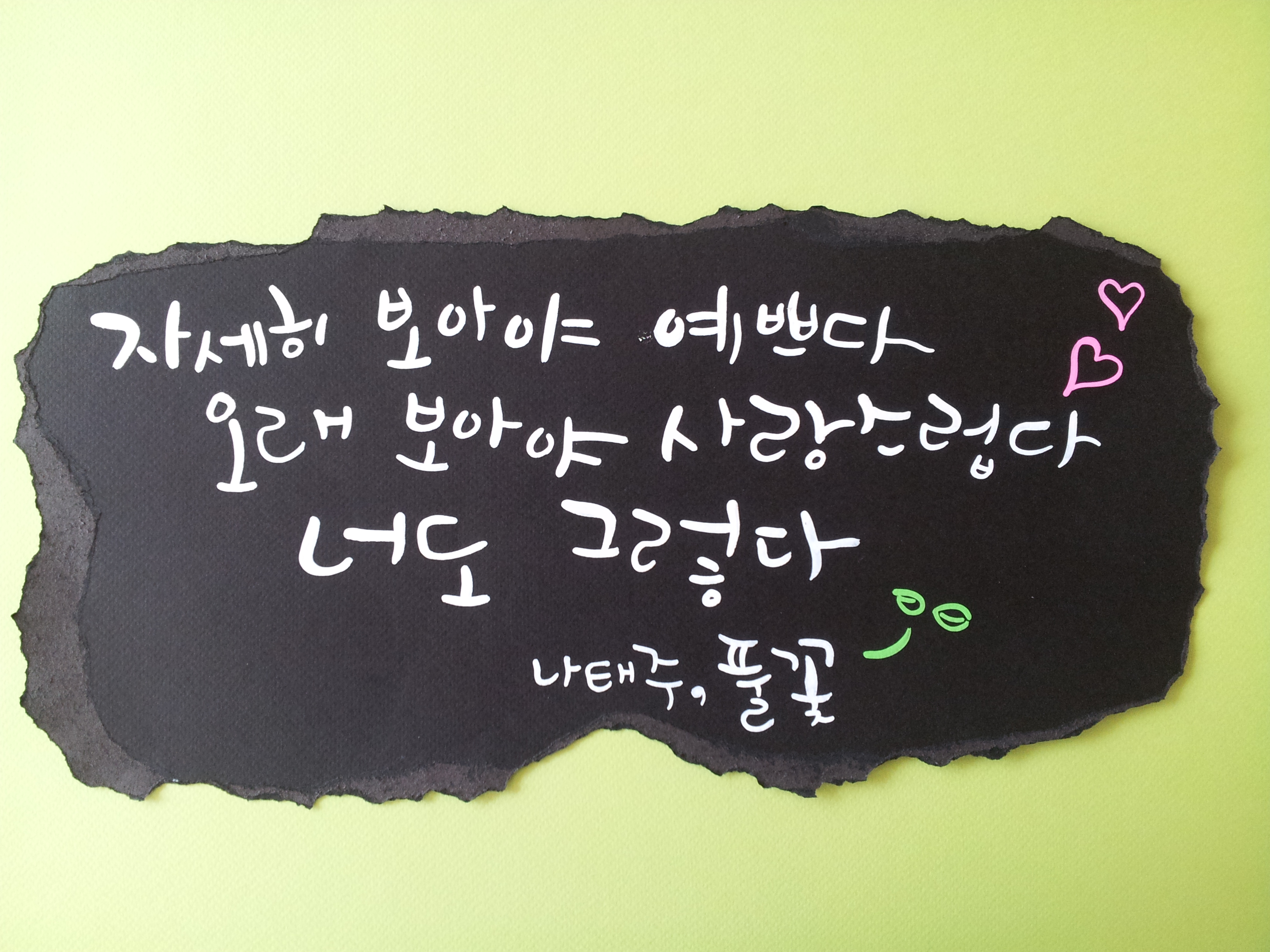 나태주 풀꽃.jpg