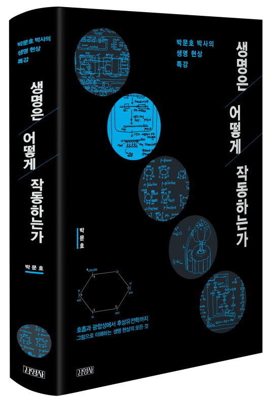 사본 -생명은어떻게작동_입체ad 2.jpg