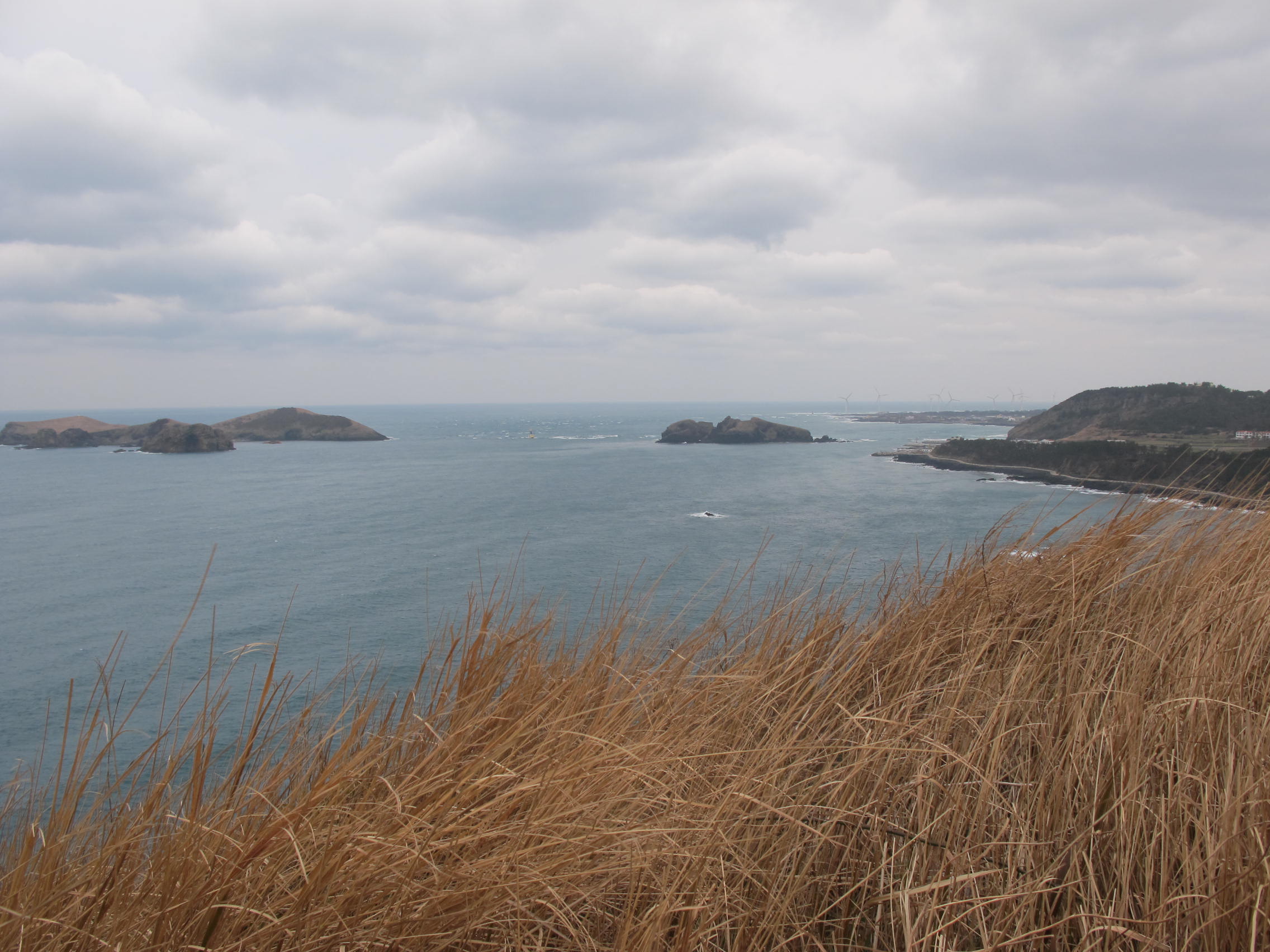 IMG_6217.JPG