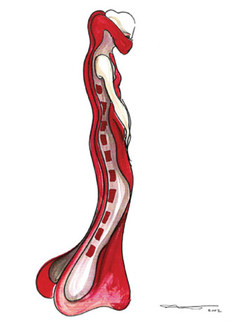 neural-tube-drawing.jpg