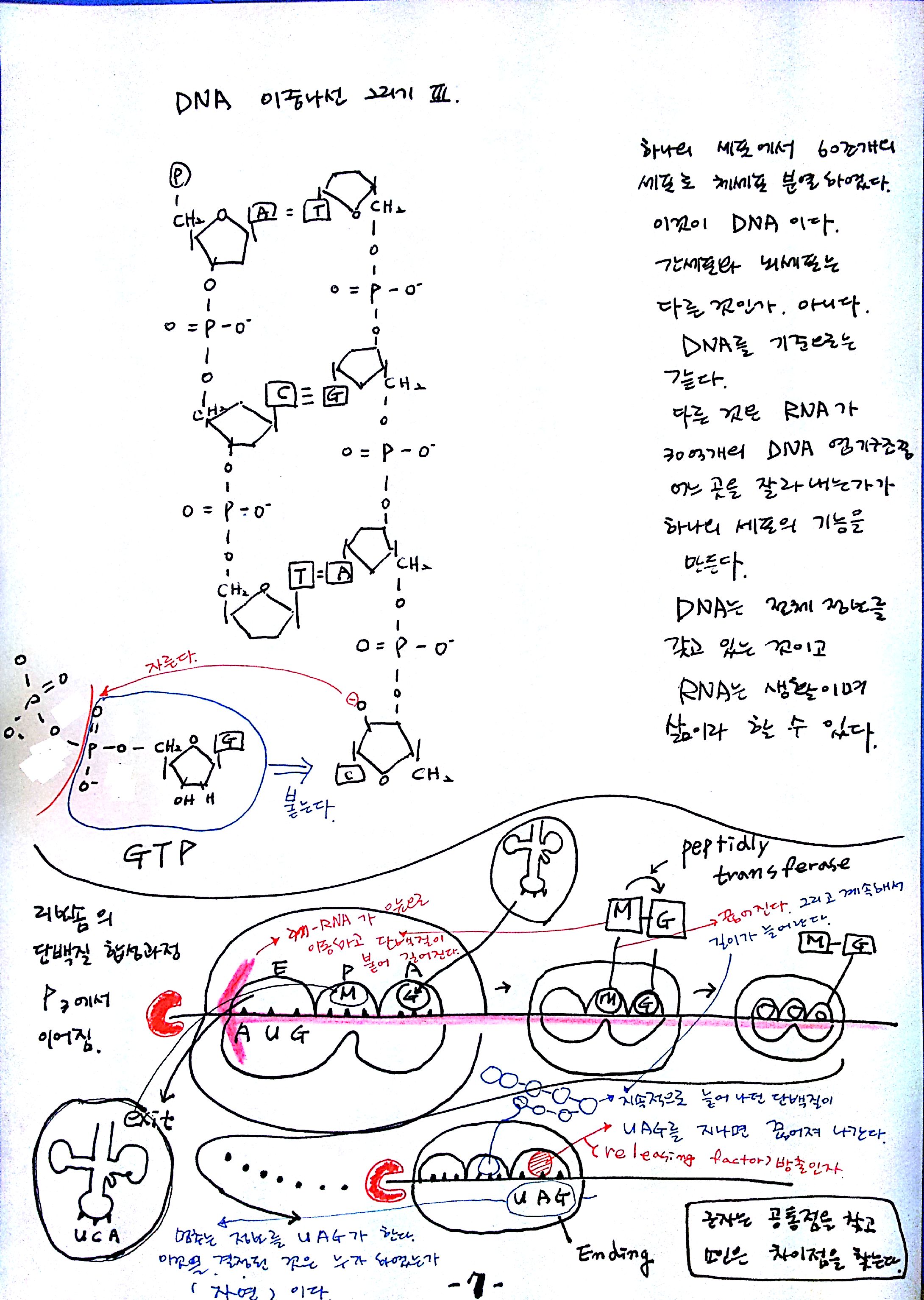 13강-7.jpg